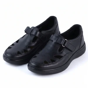 Modelo 003